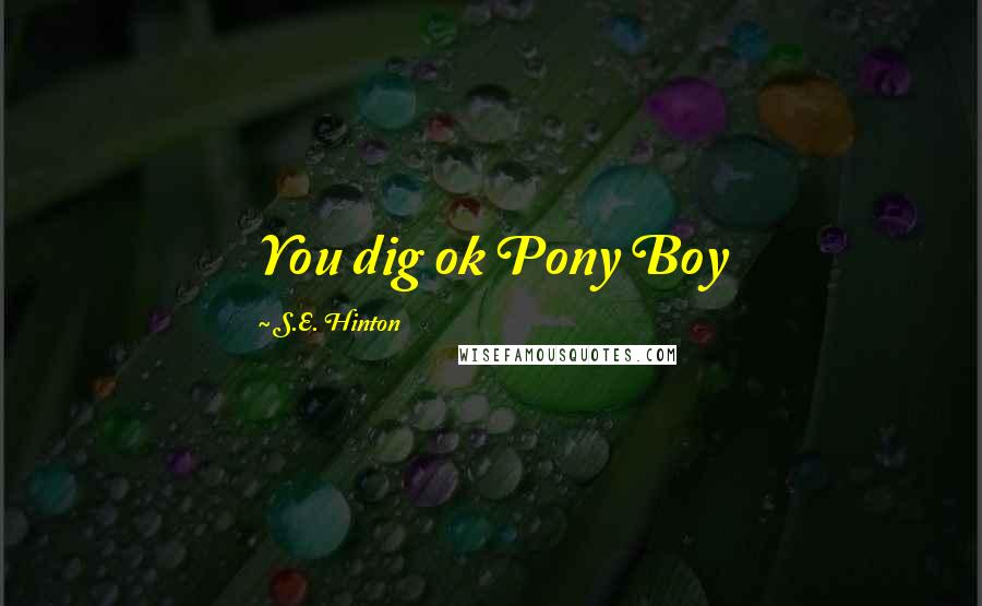 S.E. Hinton Quotes: You dig ok Pony Boy