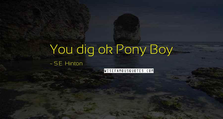 S.E. Hinton Quotes: You dig ok Pony Boy