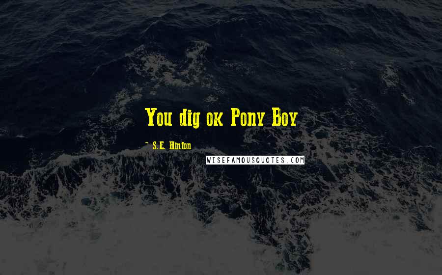 S.E. Hinton Quotes: You dig ok Pony Boy