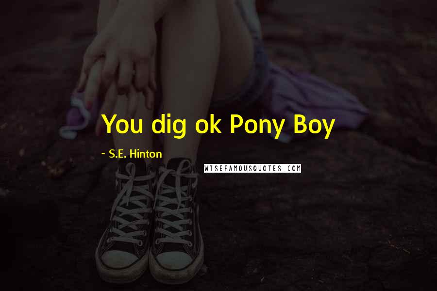 S.E. Hinton Quotes: You dig ok Pony Boy