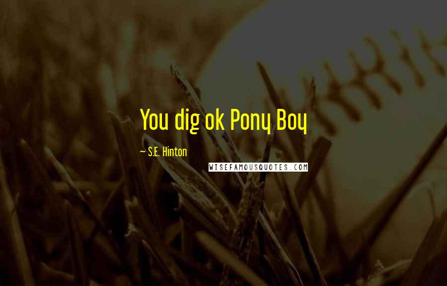 S.E. Hinton Quotes: You dig ok Pony Boy