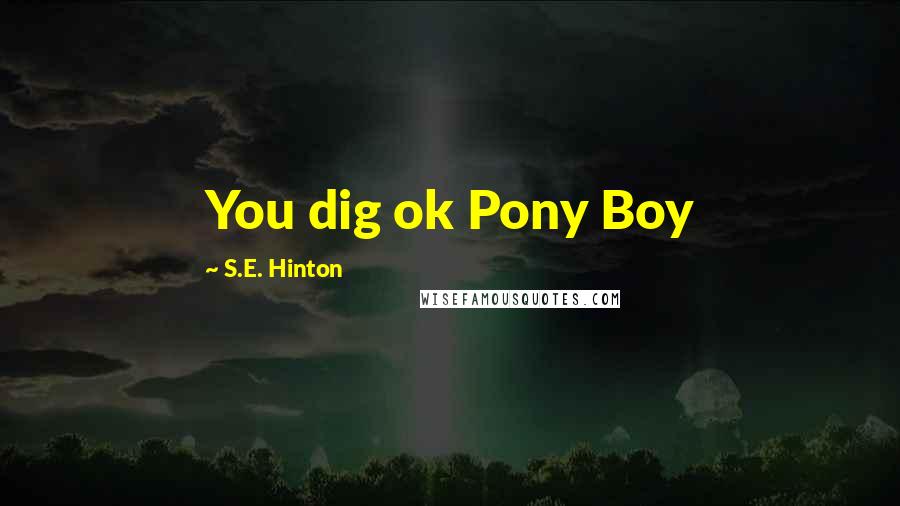 S.E. Hinton Quotes: You dig ok Pony Boy