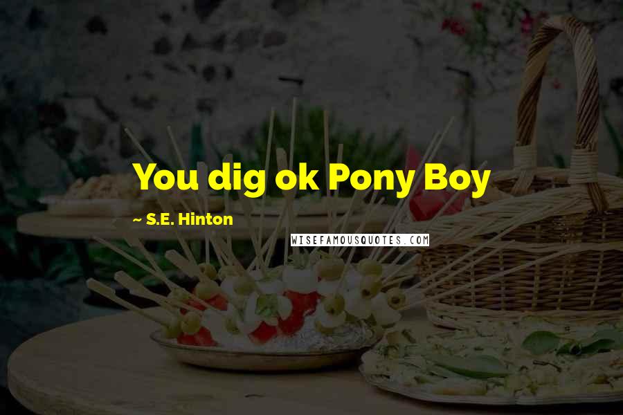 S.E. Hinton Quotes: You dig ok Pony Boy