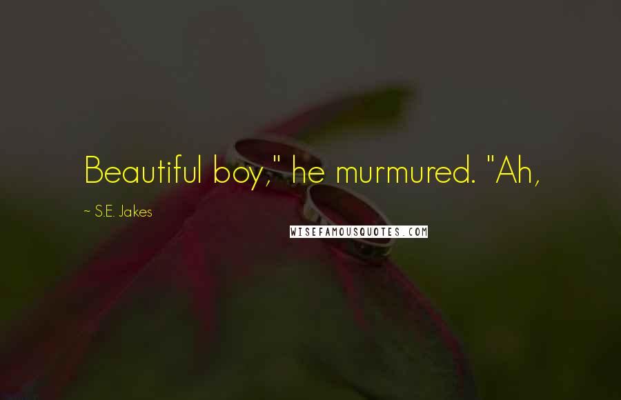 S.E. Jakes Quotes: Beautiful boy," he murmured. "Ah,