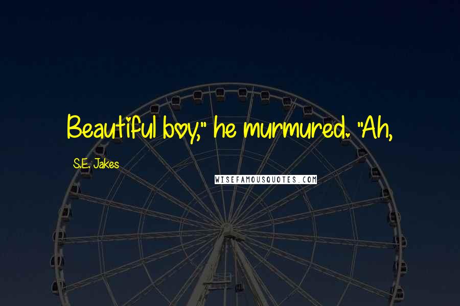 S.E. Jakes Quotes: Beautiful boy," he murmured. "Ah,