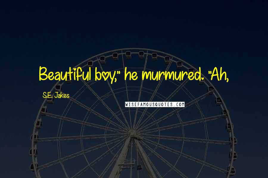 S.E. Jakes Quotes: Beautiful boy," he murmured. "Ah,