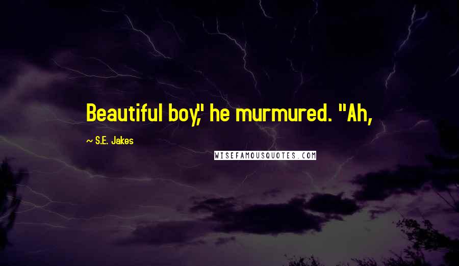 S.E. Jakes Quotes: Beautiful boy," he murmured. "Ah,