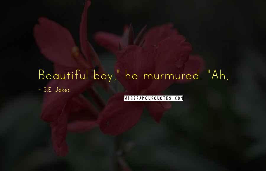 S.E. Jakes Quotes: Beautiful boy," he murmured. "Ah,