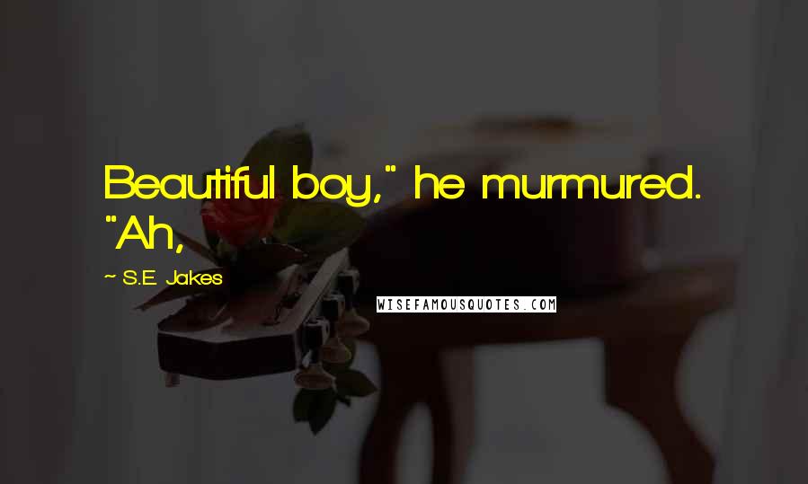 S.E. Jakes Quotes: Beautiful boy," he murmured. "Ah,