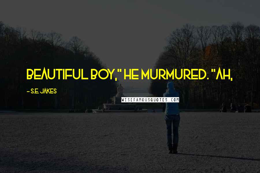 S.E. Jakes Quotes: Beautiful boy," he murmured. "Ah,