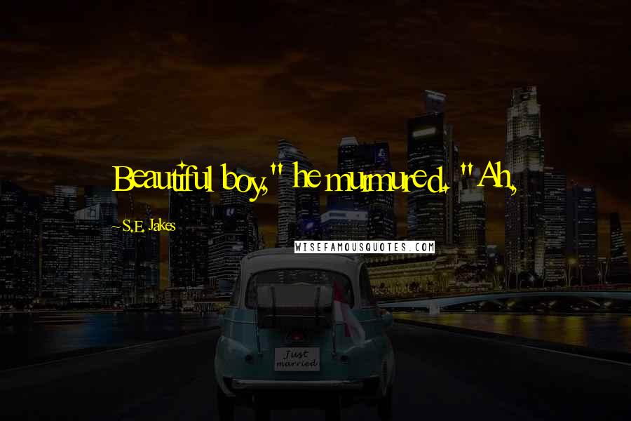 S.E. Jakes Quotes: Beautiful boy," he murmured. "Ah,