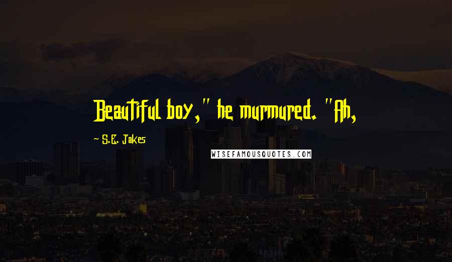 S.E. Jakes Quotes: Beautiful boy," he murmured. "Ah,