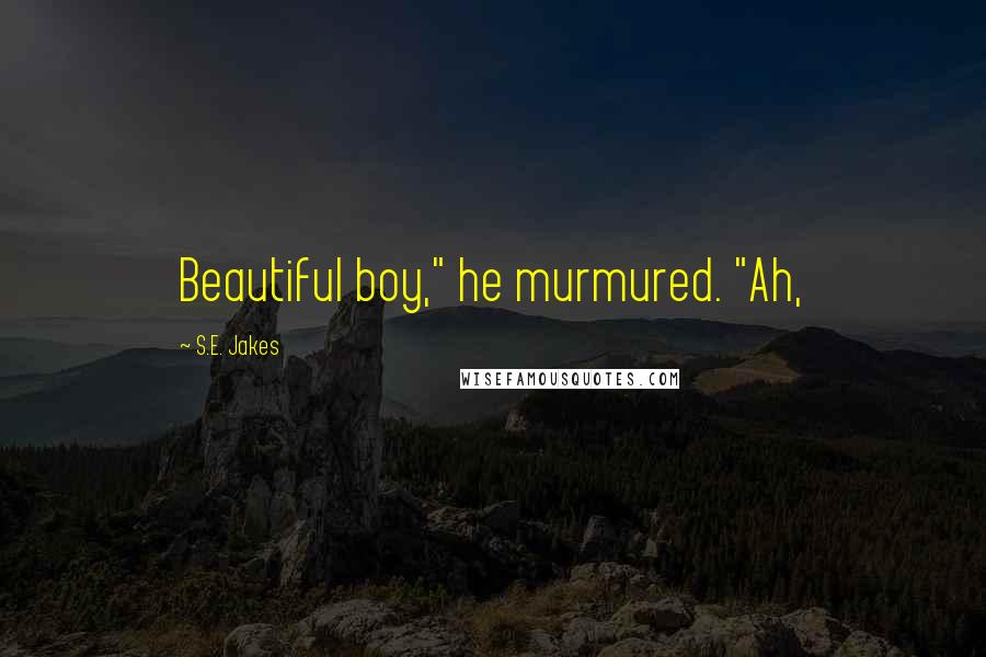 S.E. Jakes Quotes: Beautiful boy," he murmured. "Ah,