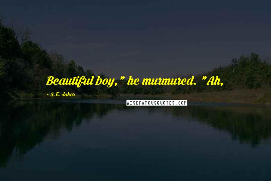 S.E. Jakes Quotes: Beautiful boy," he murmured. "Ah,