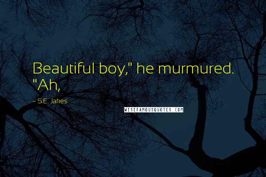 S.E. Jakes Quotes: Beautiful boy," he murmured. "Ah,