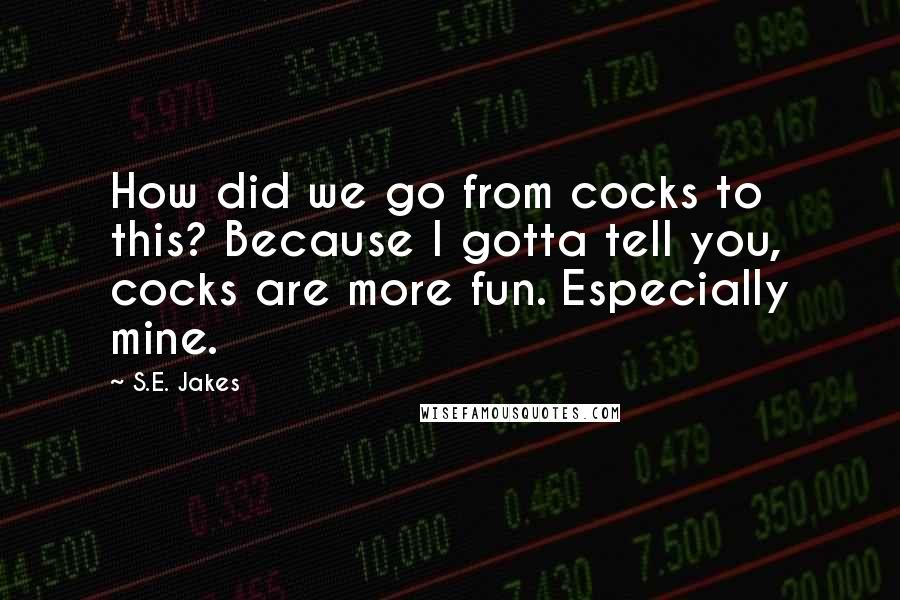 S.E. Jakes Quotes: How did we go from cocks to this? Because I gotta tell you, cocks are more fun. Especially mine.