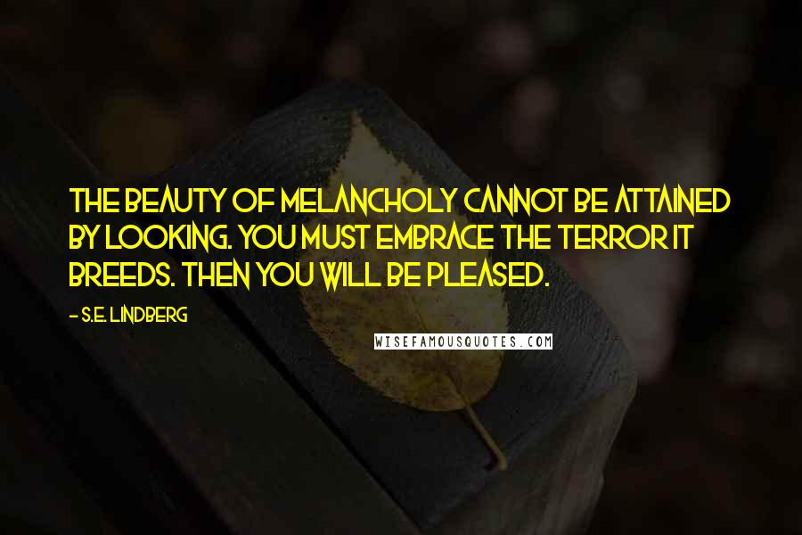 S.E. Lindberg Quotes: The beauty of melancholy cannot be attained by looking. You must embrace the terror it breeds. Then you will be pleased.