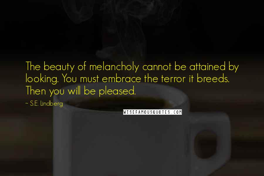 S.E. Lindberg Quotes: The beauty of melancholy cannot be attained by looking. You must embrace the terror it breeds. Then you will be pleased.