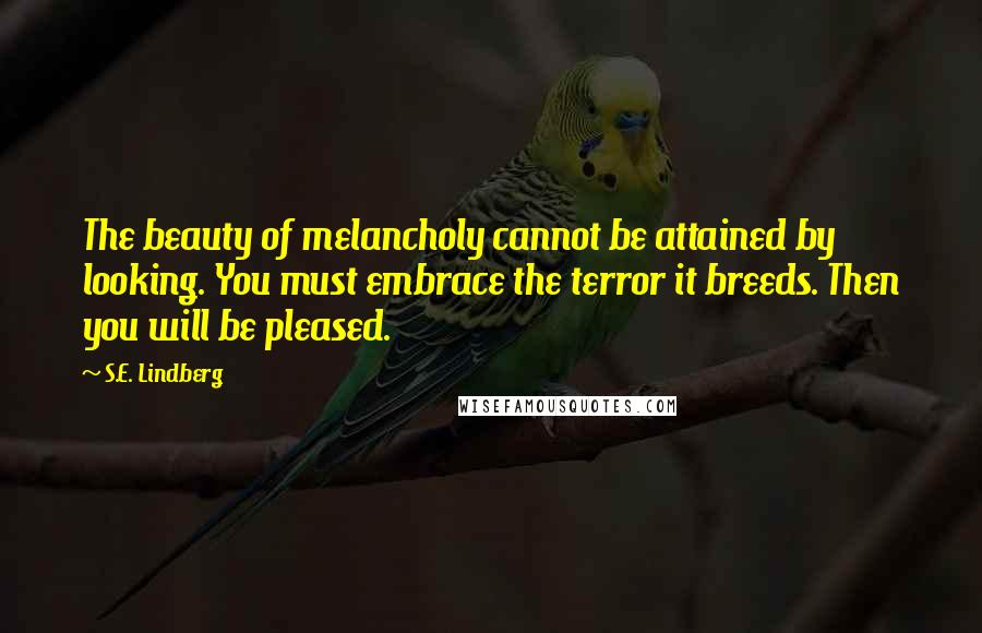 S.E. Lindberg Quotes: The beauty of melancholy cannot be attained by looking. You must embrace the terror it breeds. Then you will be pleased.