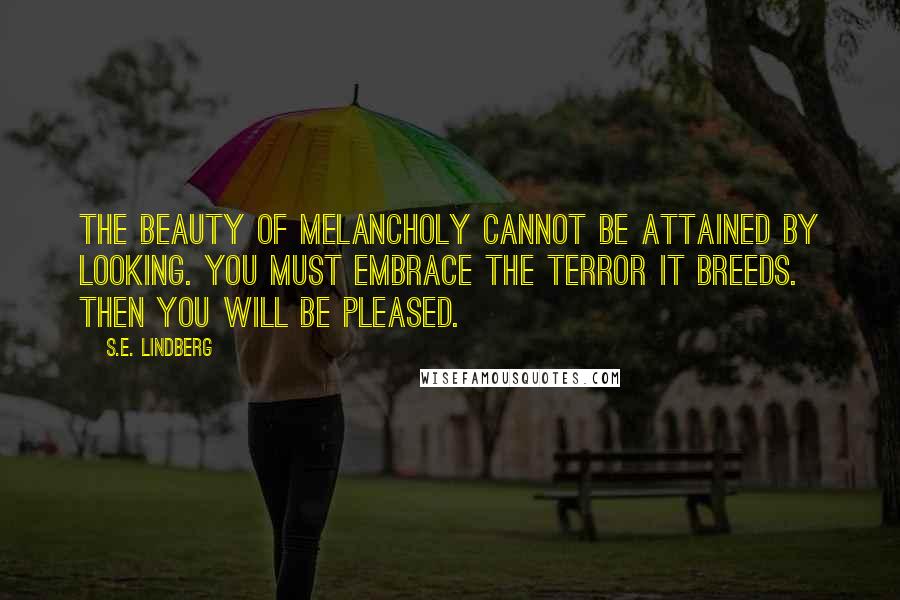 S.E. Lindberg Quotes: The beauty of melancholy cannot be attained by looking. You must embrace the terror it breeds. Then you will be pleased.