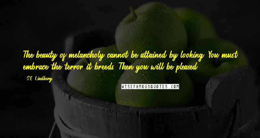 S.E. Lindberg Quotes: The beauty of melancholy cannot be attained by looking. You must embrace the terror it breeds. Then you will be pleased.