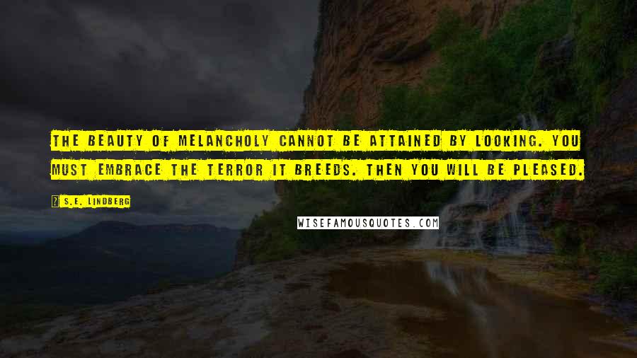 S.E. Lindberg Quotes: The beauty of melancholy cannot be attained by looking. You must embrace the terror it breeds. Then you will be pleased.