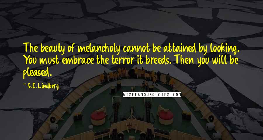 S.E. Lindberg Quotes: The beauty of melancholy cannot be attained by looking. You must embrace the terror it breeds. Then you will be pleased.