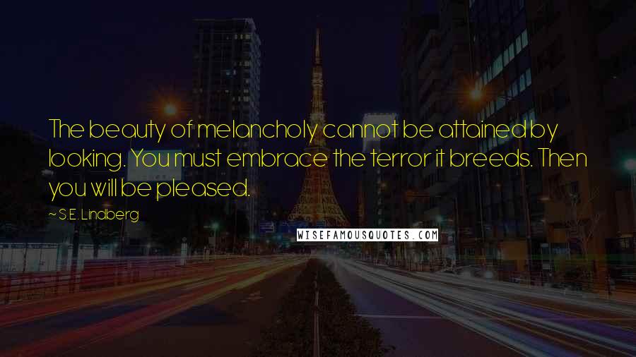 S.E. Lindberg Quotes: The beauty of melancholy cannot be attained by looking. You must embrace the terror it breeds. Then you will be pleased.