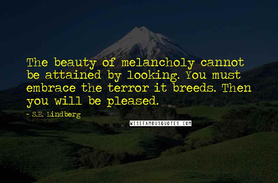 S.E. Lindberg Quotes: The beauty of melancholy cannot be attained by looking. You must embrace the terror it breeds. Then you will be pleased.