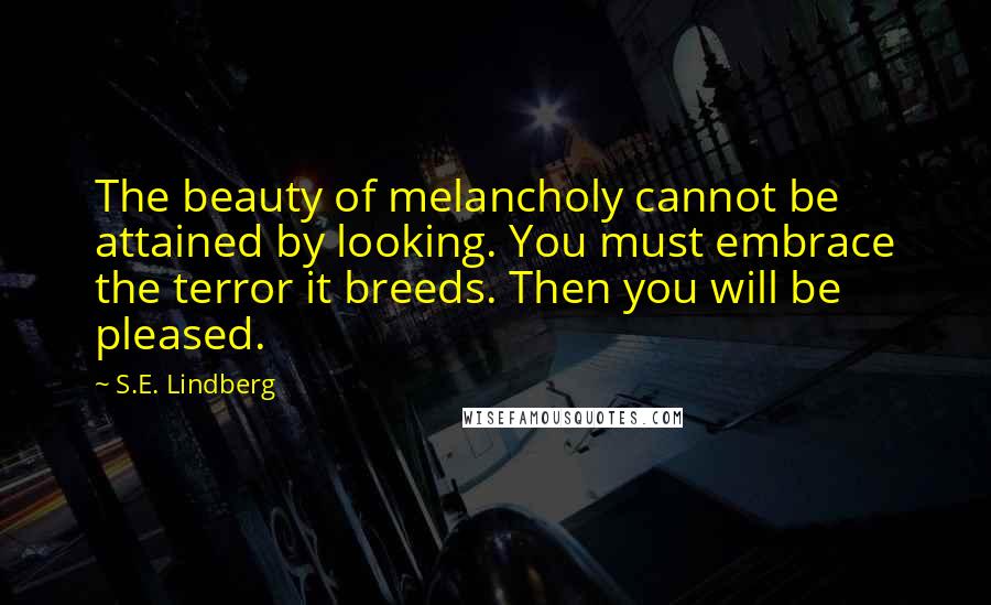 S.E. Lindberg Quotes: The beauty of melancholy cannot be attained by looking. You must embrace the terror it breeds. Then you will be pleased.