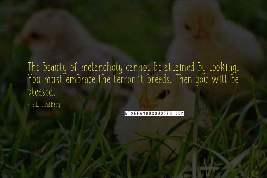 S.E. Lindberg Quotes: The beauty of melancholy cannot be attained by looking. You must embrace the terror it breeds. Then you will be pleased.