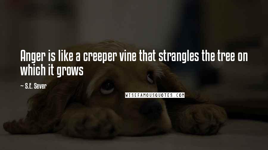 S.E. Sever Quotes: Anger is like a creeper vine that strangles the tree on which it grows