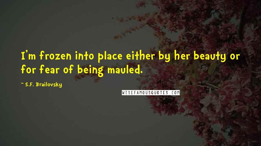 S.F. Brailovsky Quotes: I'm frozen into place either by her beauty or for fear of being mauled.