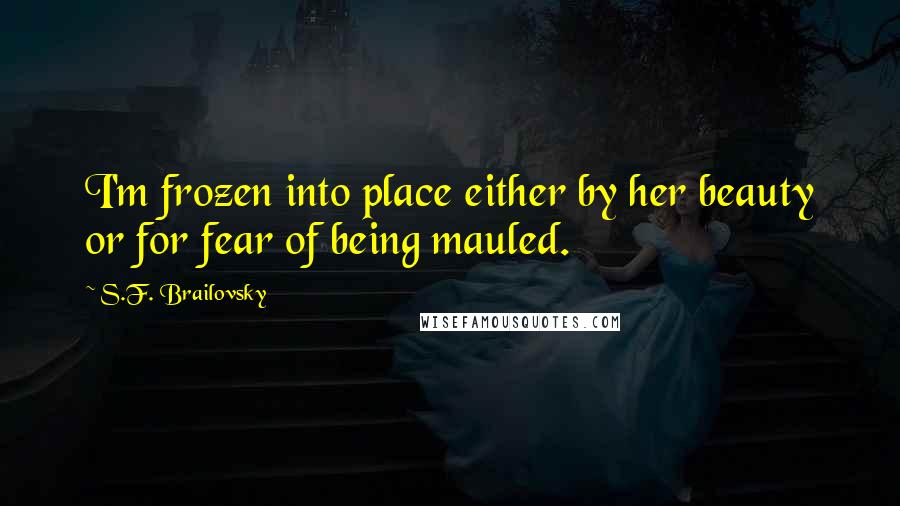 S.F. Brailovsky Quotes: I'm frozen into place either by her beauty or for fear of being mauled.