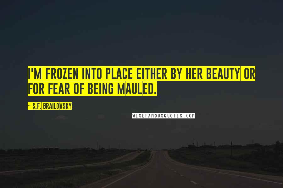 S.F. Brailovsky Quotes: I'm frozen into place either by her beauty or for fear of being mauled.