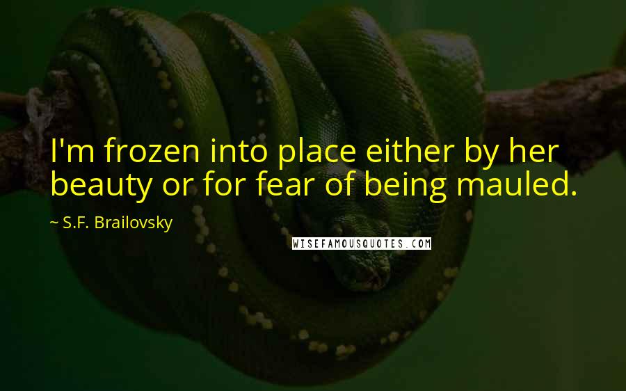 S.F. Brailovsky Quotes: I'm frozen into place either by her beauty or for fear of being mauled.