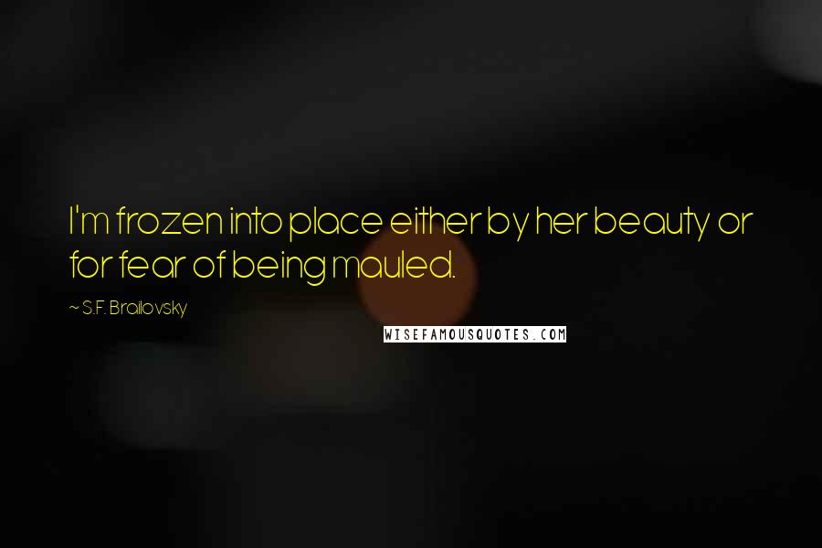 S.F. Brailovsky Quotes: I'm frozen into place either by her beauty or for fear of being mauled.