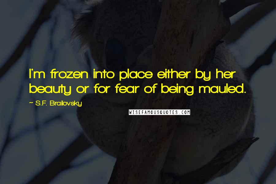 S.F. Brailovsky Quotes: I'm frozen into place either by her beauty or for fear of being mauled.