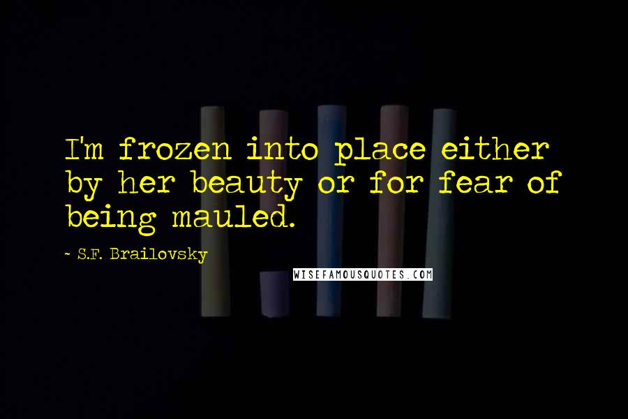 S.F. Brailovsky Quotes: I'm frozen into place either by her beauty or for fear of being mauled.
