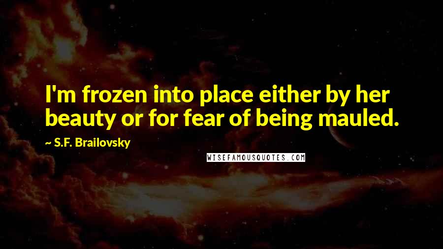 S.F. Brailovsky Quotes: I'm frozen into place either by her beauty or for fear of being mauled.