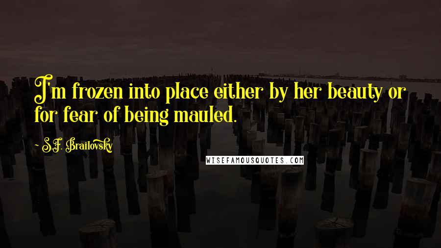 S.F. Brailovsky Quotes: I'm frozen into place either by her beauty or for fear of being mauled.