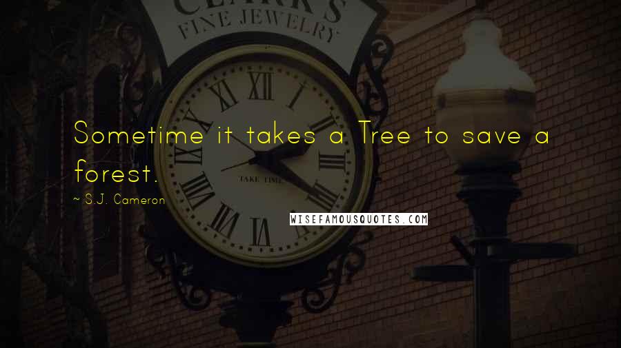 S.J. Cameron Quotes: Sometime it takes a Tree to save a forest.