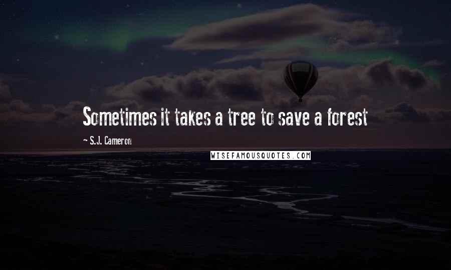 S.J. Cameron Quotes: Sometimes it takes a tree to save a forest