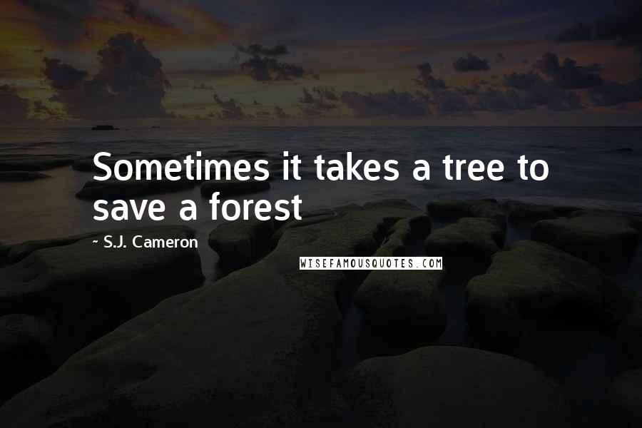S.J. Cameron Quotes: Sometimes it takes a tree to save a forest