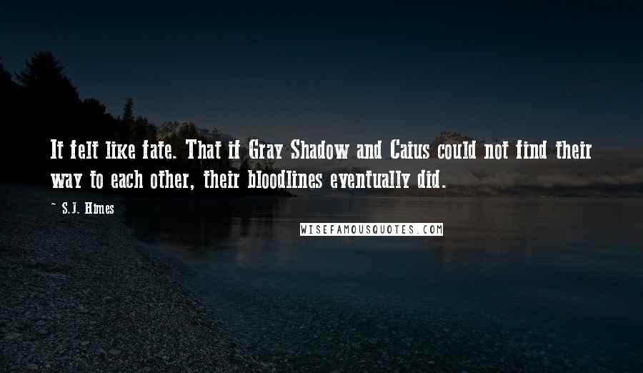 S.J. Himes Quotes: It felt like fate. That if Gray Shadow and Caius could not find their way to each other, their bloodlines eventually did.