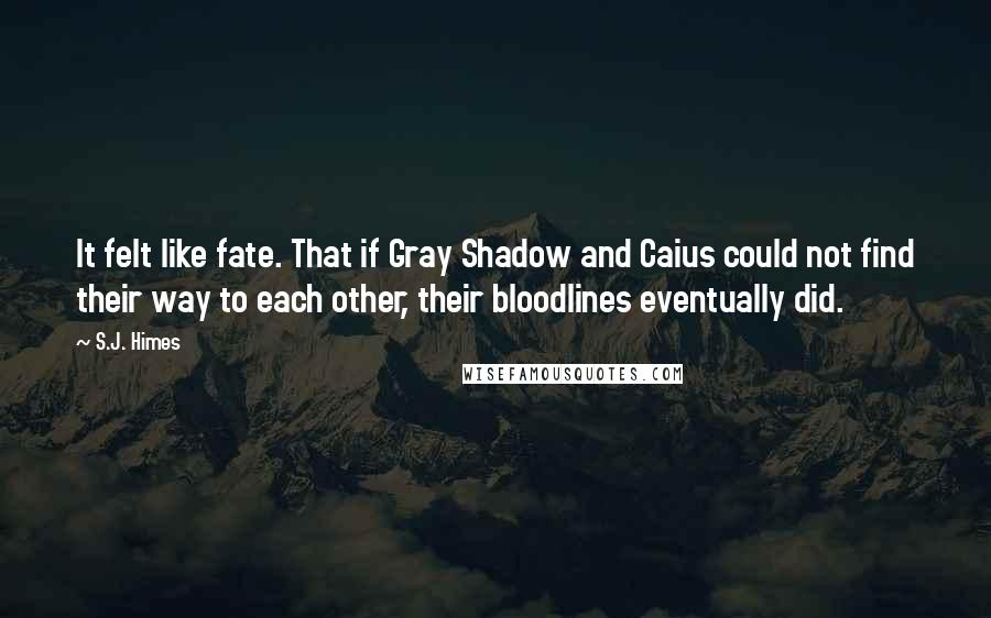 S.J. Himes Quotes: It felt like fate. That if Gray Shadow and Caius could not find their way to each other, their bloodlines eventually did.