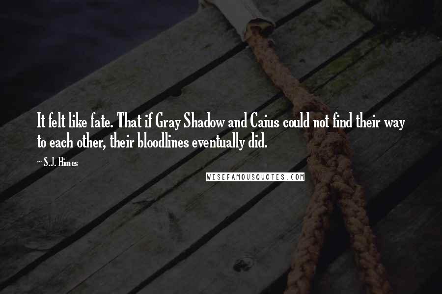 S.J. Himes Quotes: It felt like fate. That if Gray Shadow and Caius could not find their way to each other, their bloodlines eventually did.