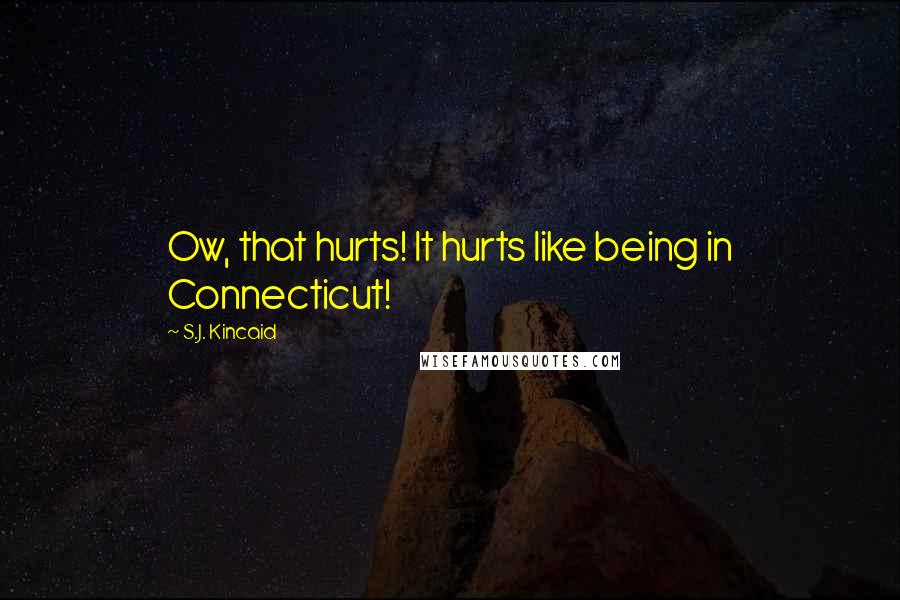 S.J. Kincaid Quotes: Ow, that hurts! It hurts like being in Connecticut!