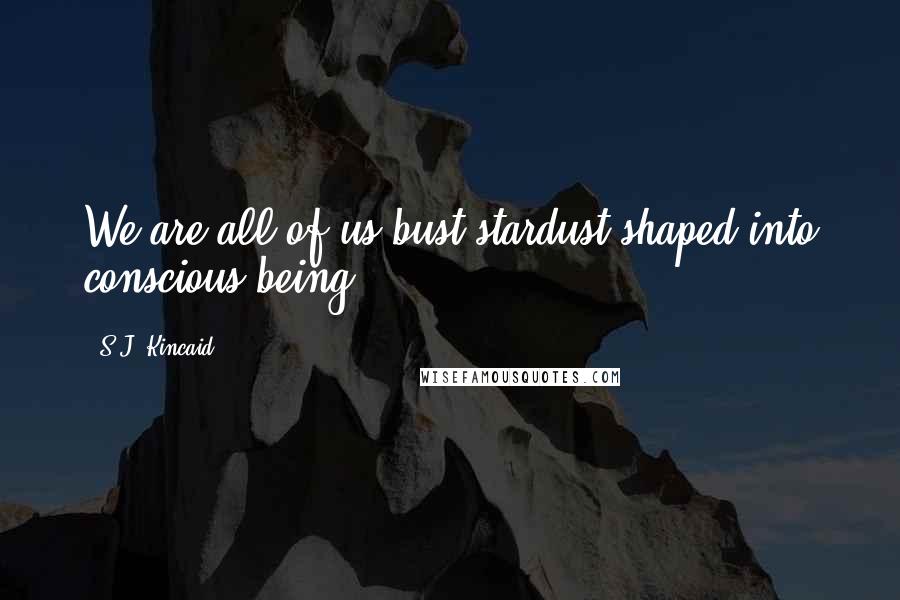 S.J. Kincaid Quotes: We are all of us bust stardust shaped into conscious being.