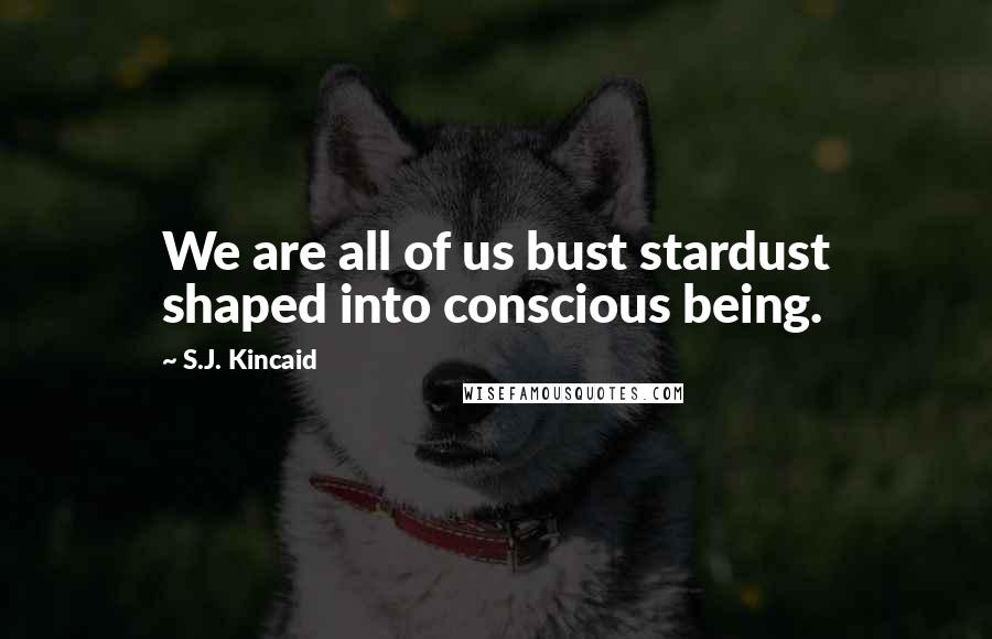S.J. Kincaid Quotes: We are all of us bust stardust shaped into conscious being.
